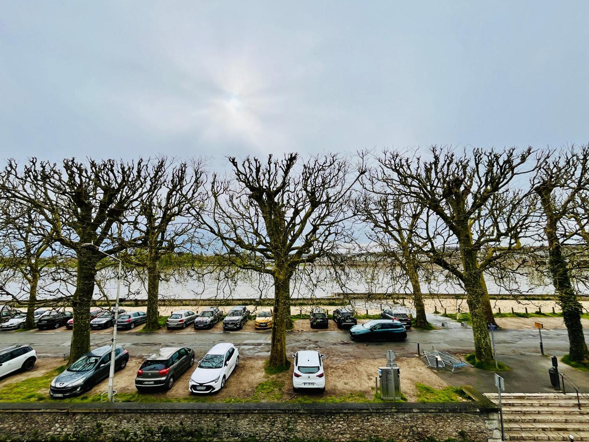 Hypercentre, Quai De Loire, Lumineux, Spacieux, Familial, Le Jehan De Saveuse 블루아 외부 사진
